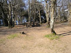 DSCN0446
