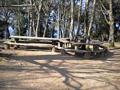 DSCN0447
