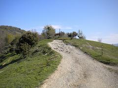 DSCN0452