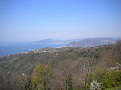 DSCN0454