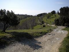 DSCN0455