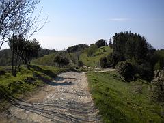 DSCN0456