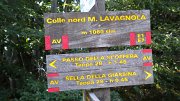 DSCN1646