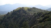 DSCN1650
