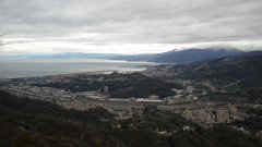 DSCN3103