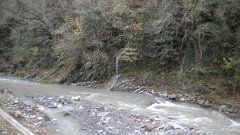 DSCN3111