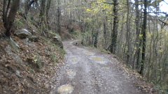 DSCN3119