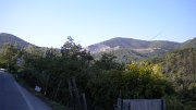 DSCN2065