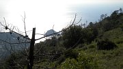 DSCN2116