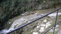 DSCN3158