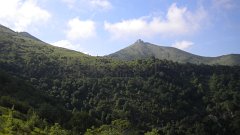 DSCN0876
