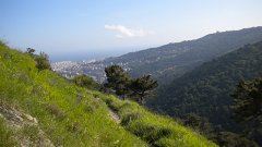 DSCN0881