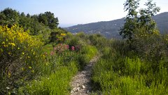 DSCN0887
