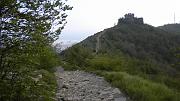 DSCN0589