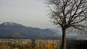 SAM_0439