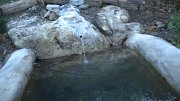 DSCN2946