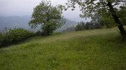 DSCN0937