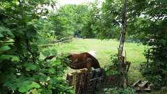 SAM_0810