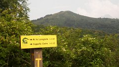 SAM_0821