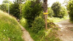 SAM_0822