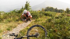SAM_0833