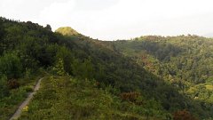 SAM_0835