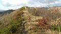 SAM_0561