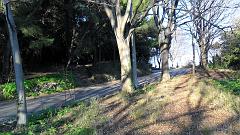 SAM_0569