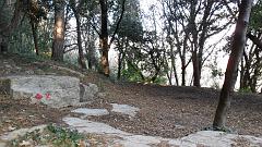 SAM_0580