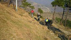 SAM_0589