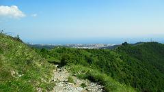 SAM_0060