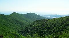 SAM_0061