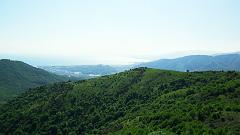 SAM_0062