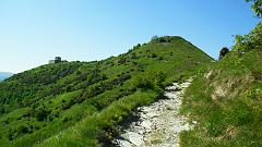 SAM_0063