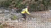 SAM_0537