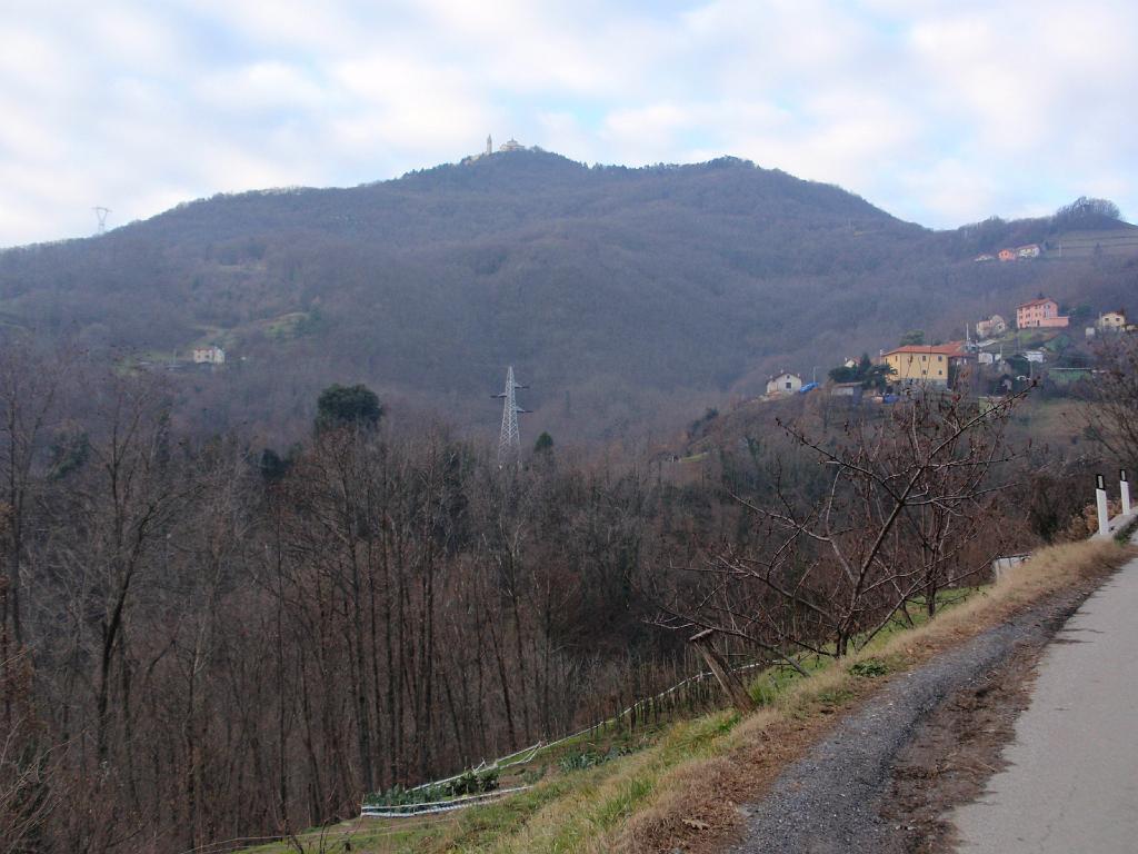P1010023.JPG