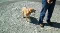 SAM_0119