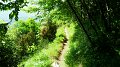 SAM_0129