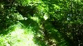 SAM_0130