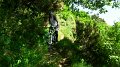 SAM_0131