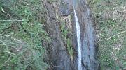 SAM_0659