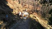 SAM_0675