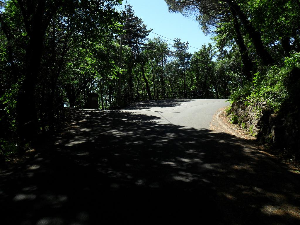SAM_0190.JPG