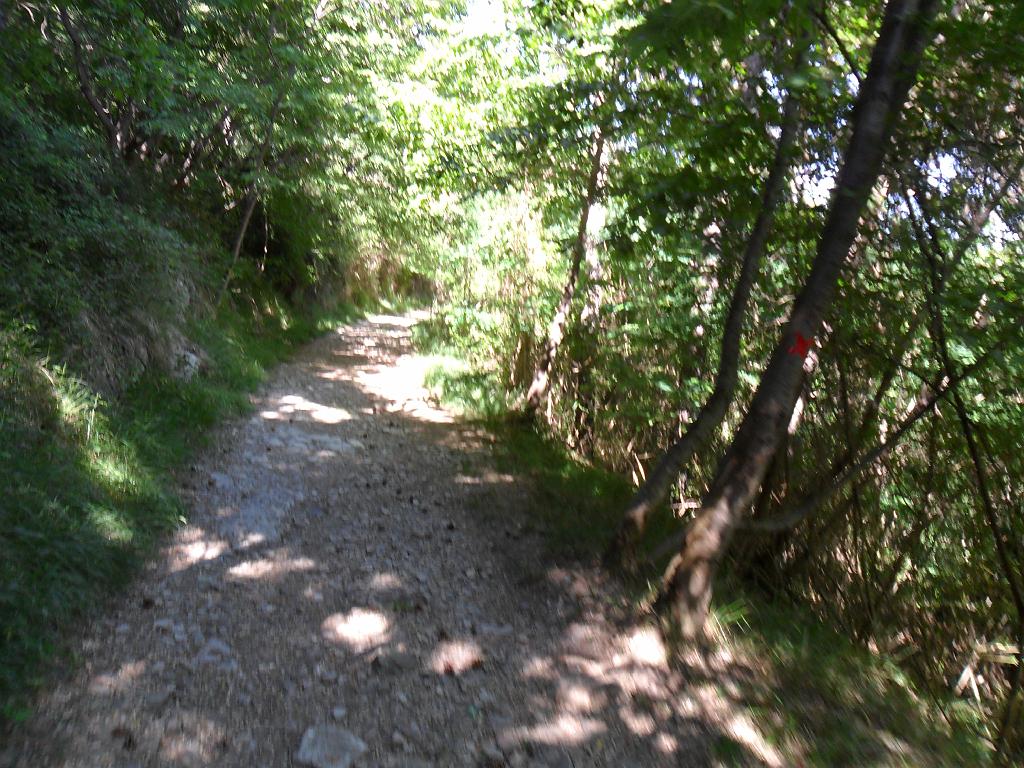SAM_0197.JPG