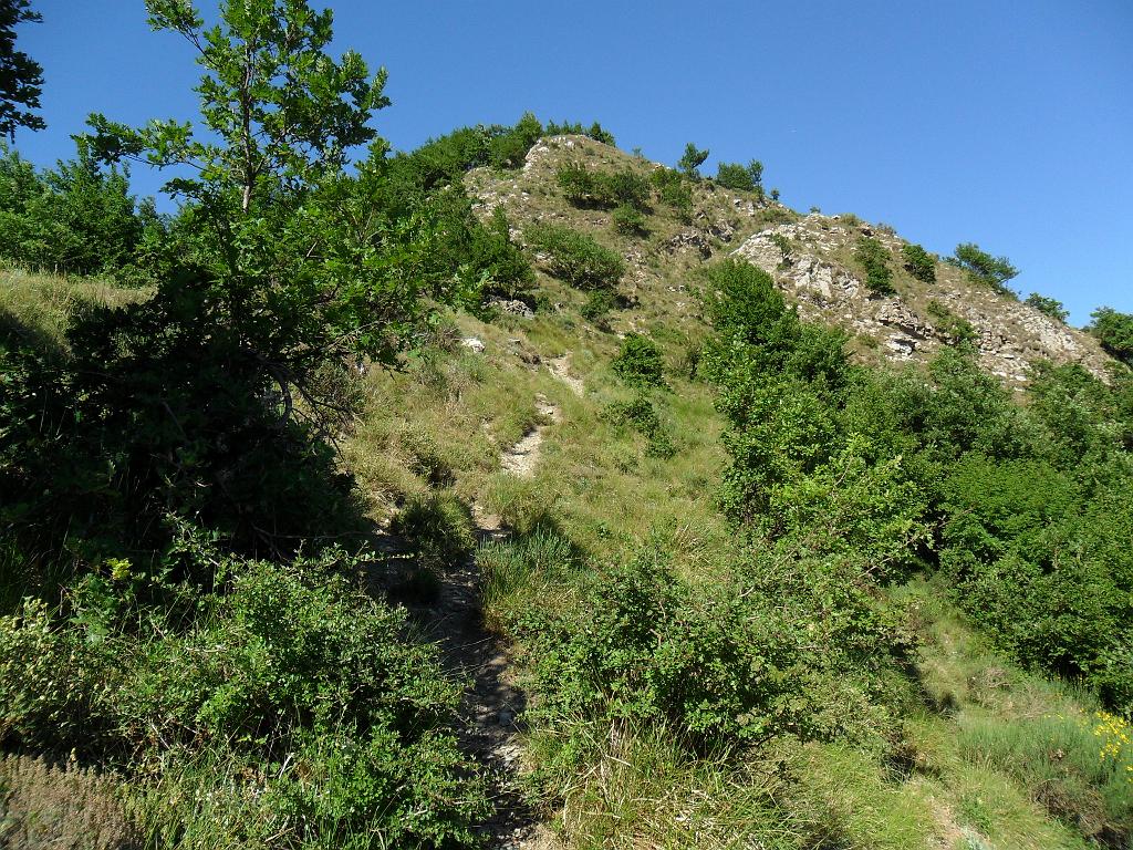 SAM_0205.JPG