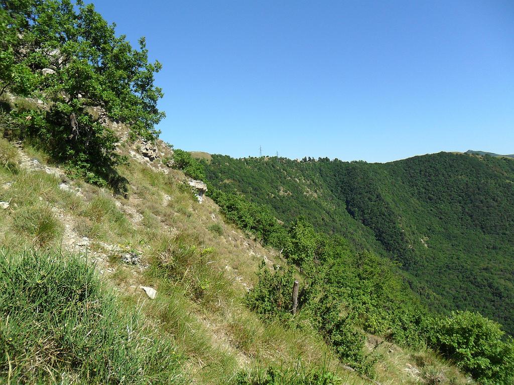 SAM_0209.JPG