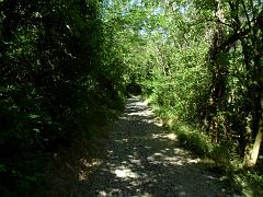 SAM_0193