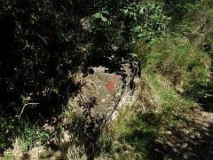 SAM_0194