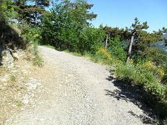 SAM_0195