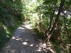 SAM_0197
